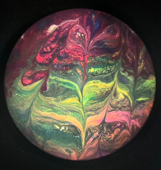 Discraft Roach