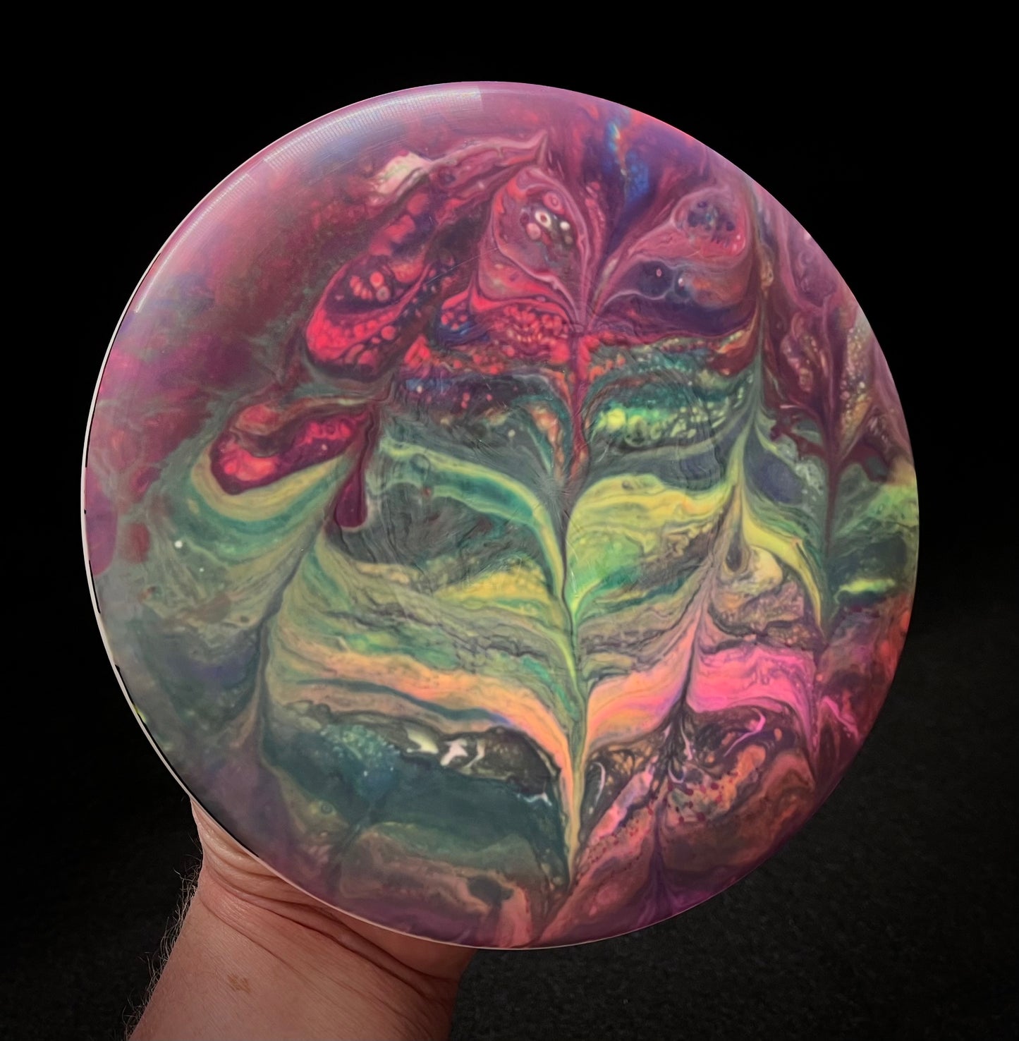 Discraft Roach